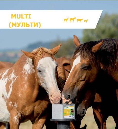 Мінеральний блок SOLSEL "Multi" 10 кг