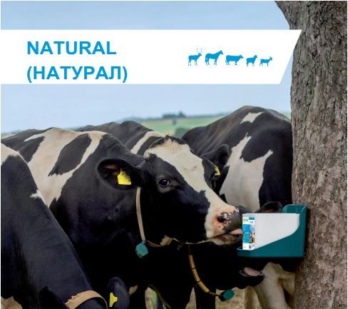 Соляний блок SOLSEL "Natural" 10 кг